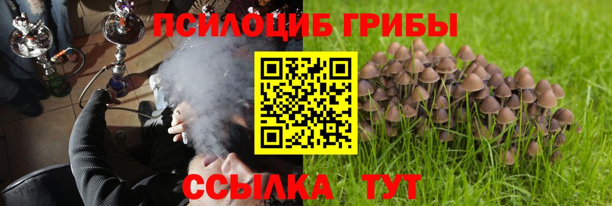 Менделеевск  Галлюциногенные грибы Psilocybe  Псилоцибиновые грибы Psilocybine cubensis  Вход с VPN 
